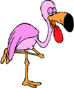 image Animals Flamingo