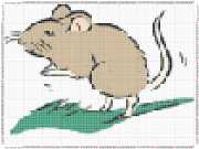 pattern Animals Mice