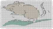 pattern Animals Mice