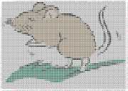 pattern Animals Mice
