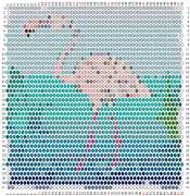pattern Animals Flamingo