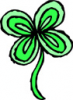 image  Plants Flowers