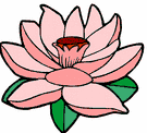 image Plants Flowers
