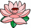 image  Plants 