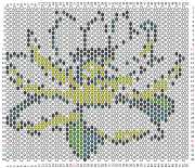 pattern Plants Flowers