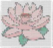 pattern Plants Flowers
