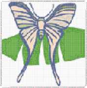 pattern Animals Butterflies
