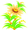 image  Plants 