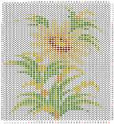 pattern Plants Flowers
