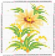 pattern Plants Flowers