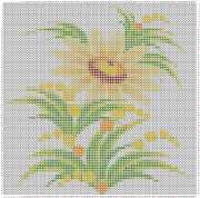 pattern Plants Flowers