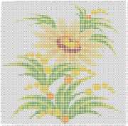 pattern Plants Flowers