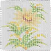 pattern Plants Flowers