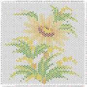 pattern Plants Flowers