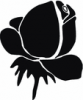 image  Plants 