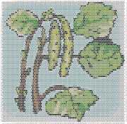pattern Plants Trees