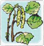 pattern Plants Trees