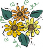 image  Plants 