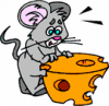 image  Animals Mice