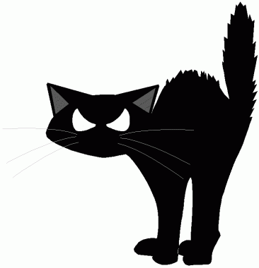 image Animals Cats