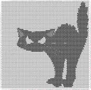 pattern Animals Cats