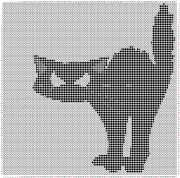 pattern Animals Cats