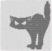 pattern Animals Cats