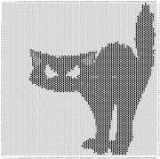pattern Animals Cats