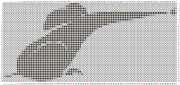 pattern Animals Mice