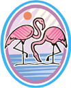 image Weather Sun Animals Flamingo