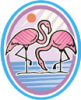 image  Animals 