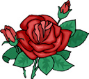 image Plants Roses