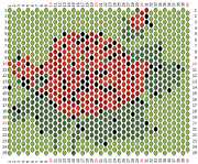 pattern Plants Roses