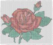 pattern Plants Roses