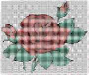 pattern Plants Roses