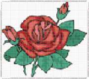 pattern Plants Roses
