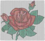 pattern Plants Roses