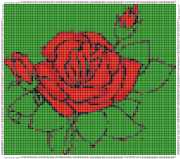 pattern Plants Roses