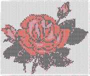 pattern Plants Roses