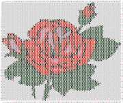 pattern Plants Roses