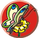 image Animals Butterflies
