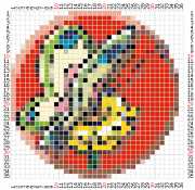pattern Animals Butterflies