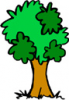 image  Plants Trees