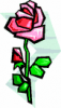 image  Plants Roses