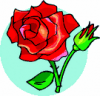 image  Plants Roses