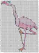 pattern Animals Flamingo