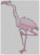 pattern Animals Flamingo