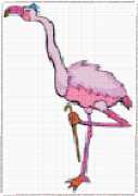 pattern Animals Flamingo