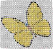 pattern Animals Butterflies