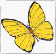 pattern Animals Butterflies
